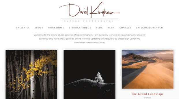 davidkingham.com