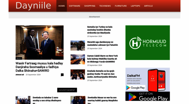 dayniile.com