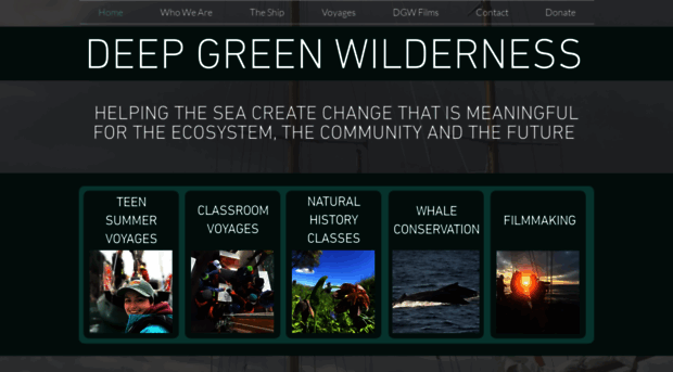 deepgreenwilderness.com