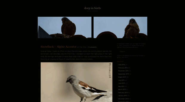 deepinbirds.wordpress.com