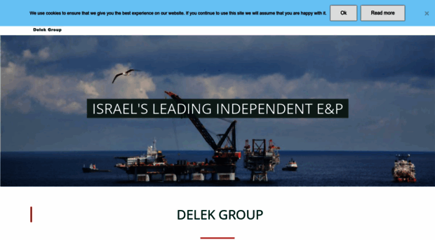 delek-group.com