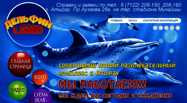 delfin-show.ru