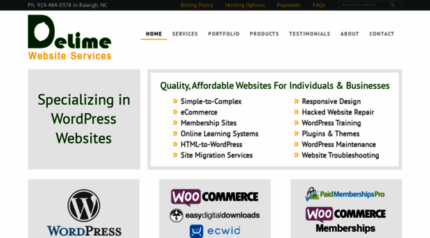 delimewebsiteservices.com