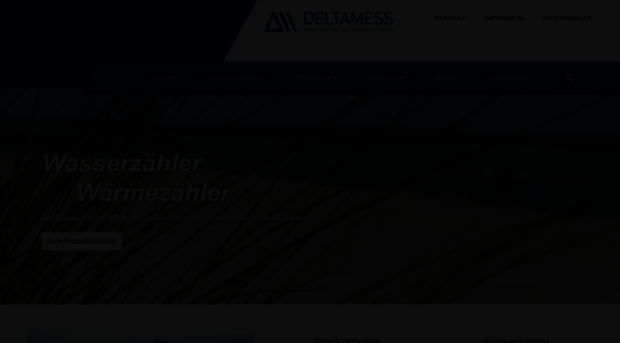 deltamess.com