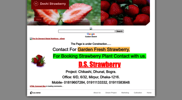 deshistrawberry.yolasite.com