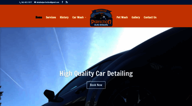 detailedperfection.net