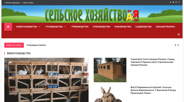 detsad35.ru