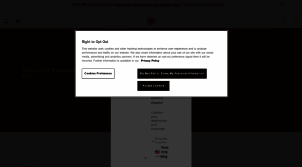 dfs.com