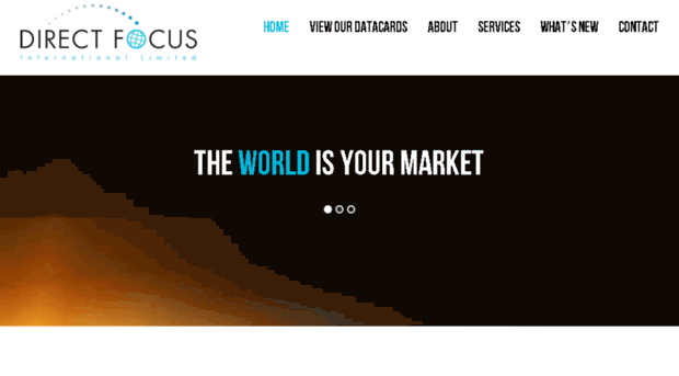 directfocusinternational.com