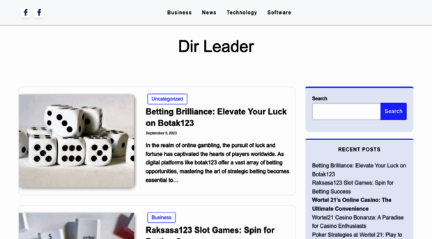 dirleader.co.uk