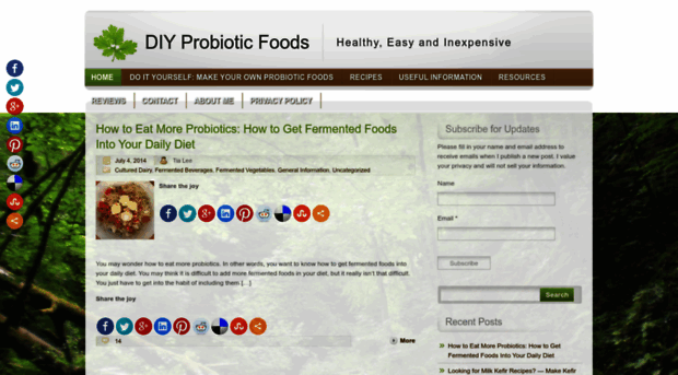 diyprobioticfoods.com
