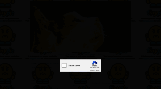dizien.nowbb.ru