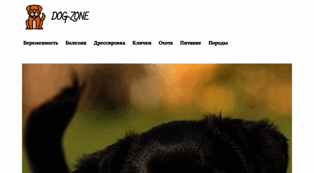 dog-zone.ru