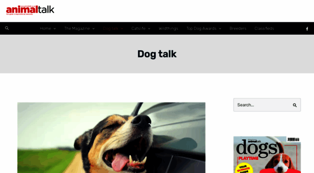 dog.animalchannel.co.za