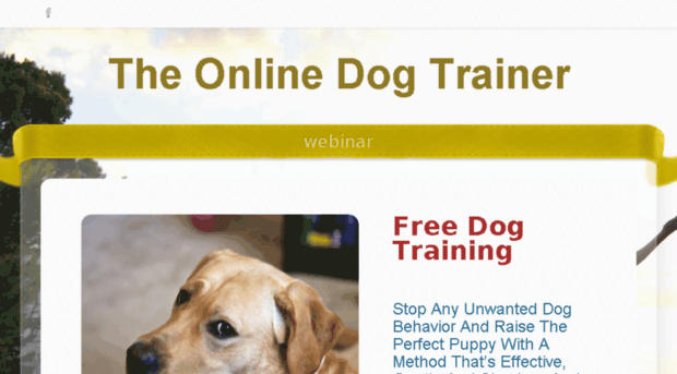 dogs-time.weebly.com