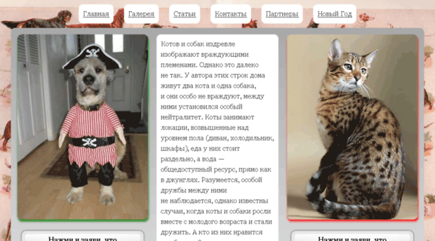 dogs-vs-cats.pp.ua