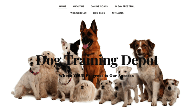 dogtrainingdepot.com