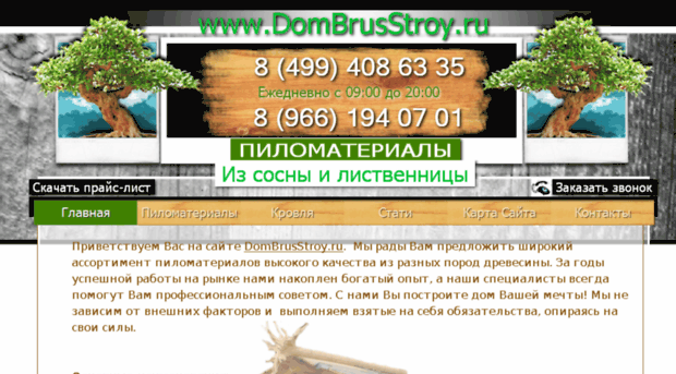dombrusstroy.ru