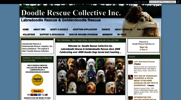 doodlerescue.org