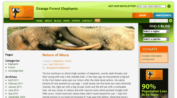 dzangaforestelephants.wildlifedirect.org