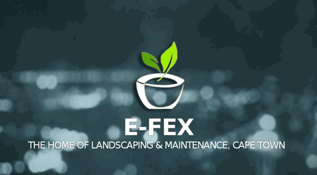 e-fex.co.za