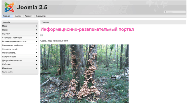 e-kzn.ru
