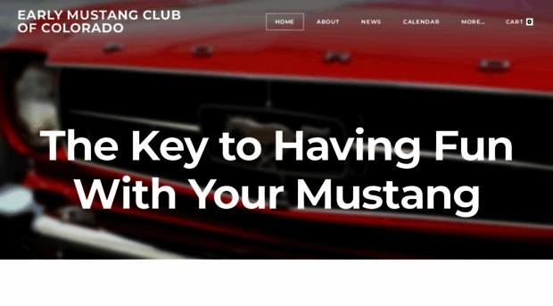 earlymustang.com