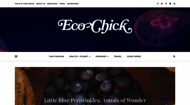 eco-chick.com
