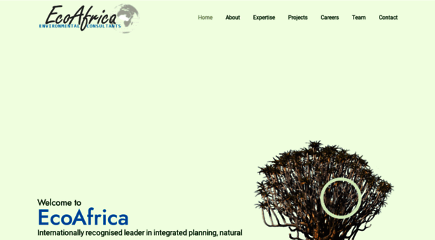ecoafrica.co.za