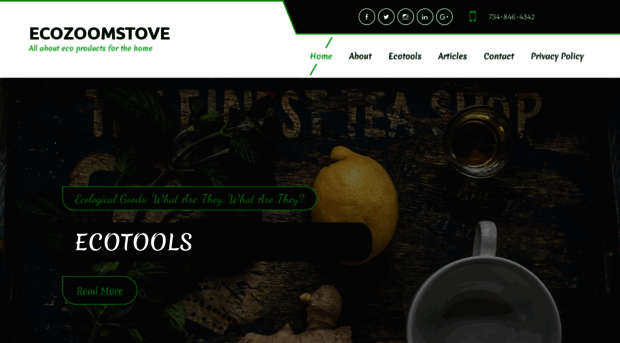 ecozoomstove.com