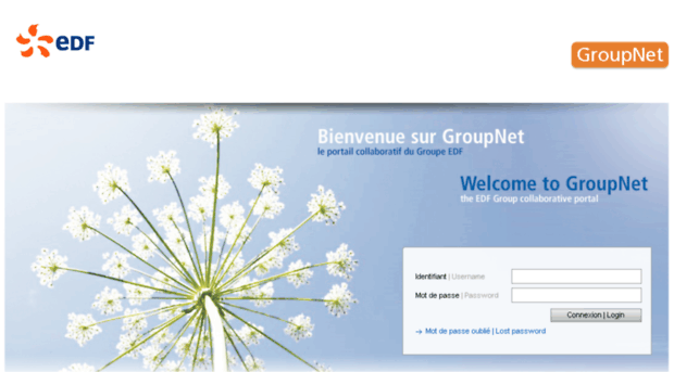 edf-group.net