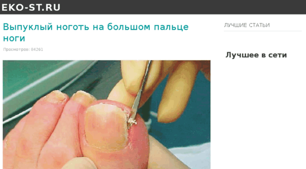 eko-st.ru