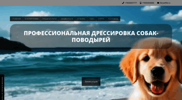 ekzamen.denpon.ru