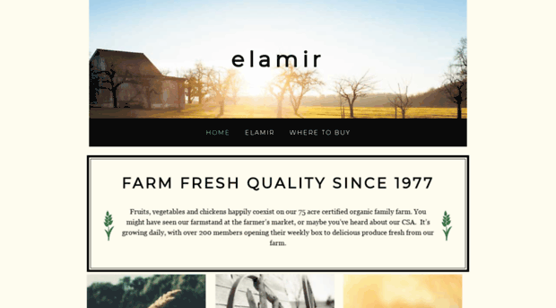 elamir.yolasite.com