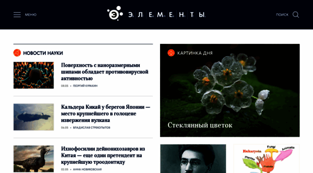 elementy.ru