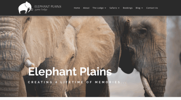 elephantplains.co.za