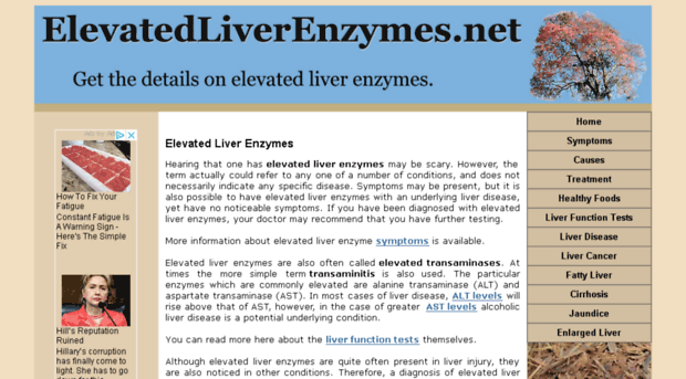 elevatedliverenzymes.net