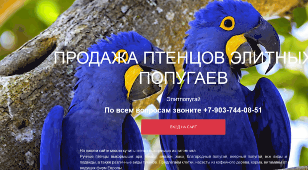 elitparrots.ru