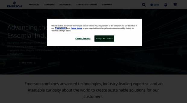 emersonprocess.com
