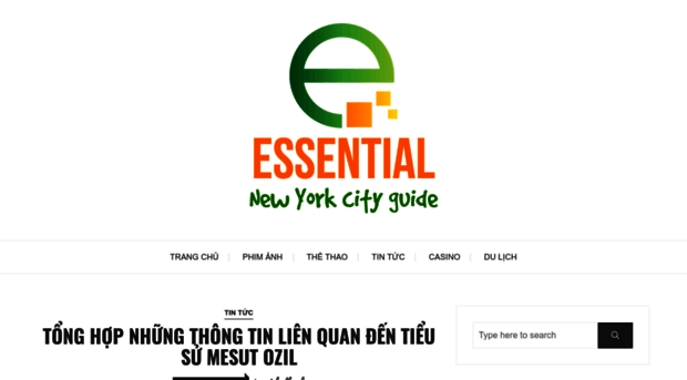 essential-new-york-city-guide.com