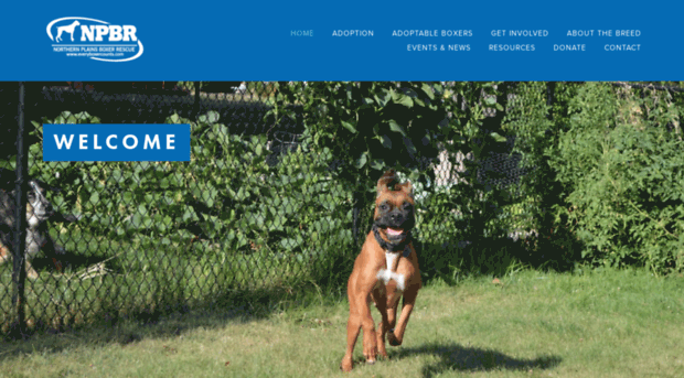 everyboxercounts.com