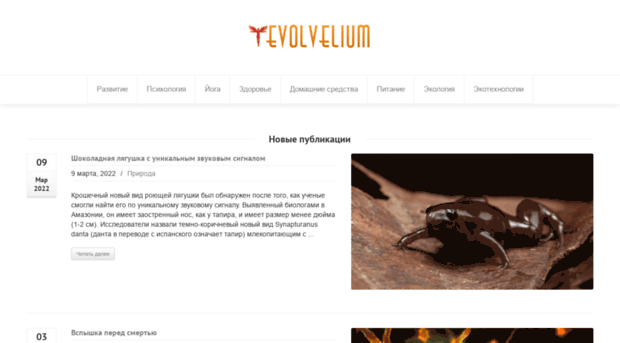 evolvelium.com