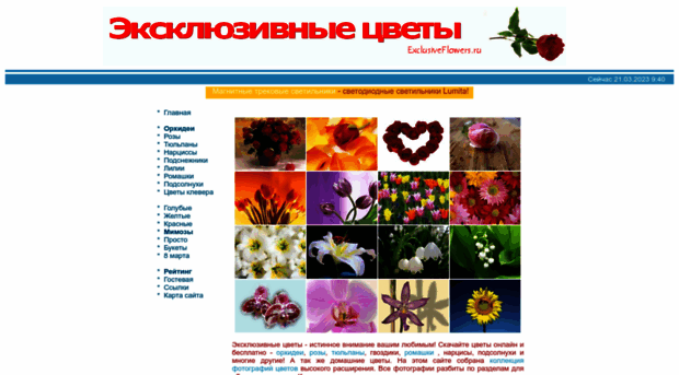 exclusiveflowers.ru