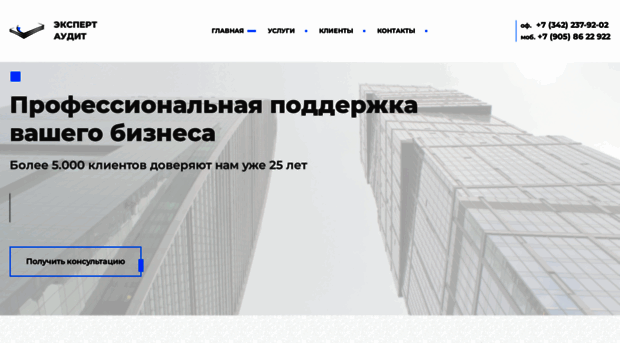 expert-audit.biz