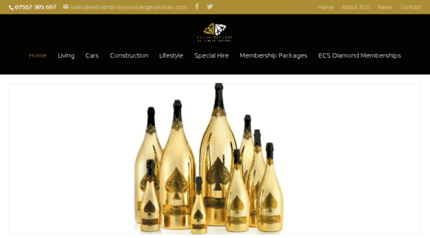 extraordinaryconciergeservices.com
