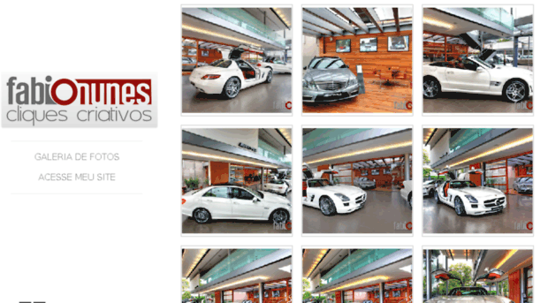 fabionunes.zenfolio.com