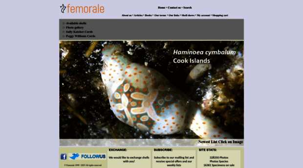 femorale.com.br