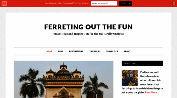ferretingoutthefun.com