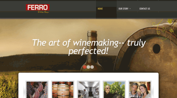 ferrofamilywinestore.com