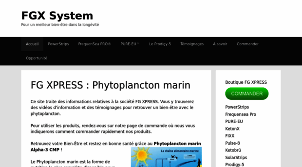 fgxsystem.com